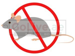 Comprehensive Facility Hygiene Rat Pest Control Dubai by SMG