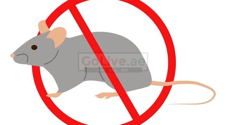 Comprehensive Facility Hygiene Rat Pest Control Dubai by SMG