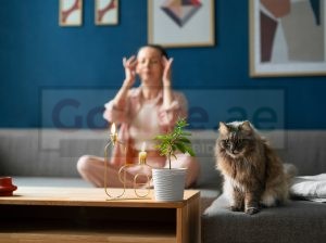 Hire Professional Butlers for Pet Feeding, Plant Watering & More, Starting 500 AED/ Month