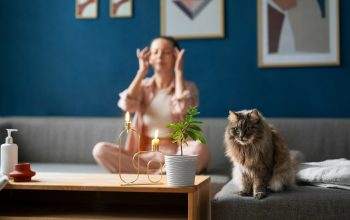 Hire Professional Butlers for Pet Feeding, Plant Watering & More, Starting 500 AED/ Month