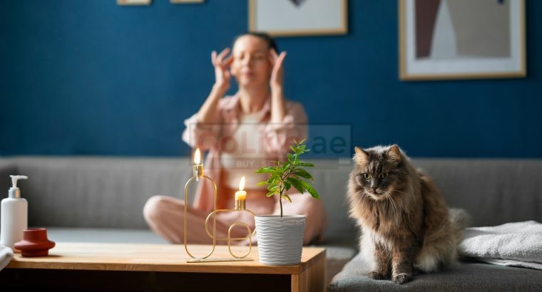 Hire Professional Butlers for Pet Feeding, Plant Watering & More, Starting 500 AED/ Month