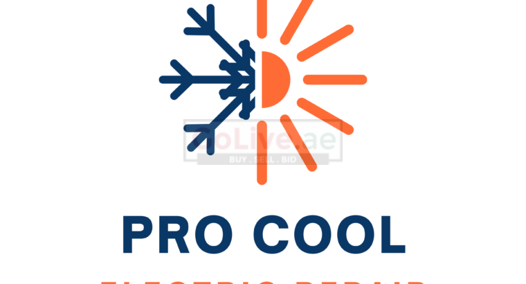 The Pro Cool And Electric Repairing