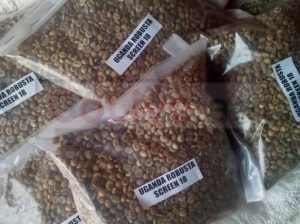 ARABICA AND ROBUSTA COFFEE BEANS