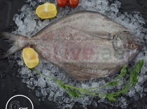 Fresh Fish home delivery in Dubai | FishandGo