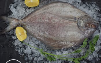 Fresh Fish home delivery in Dubai | FishandGo