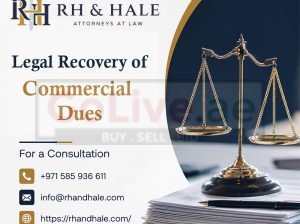 Resolve Commercial Disputes Without Court Delays