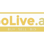 Hire a Trusted Safe Driver in Dubai from Safe Driver UAE