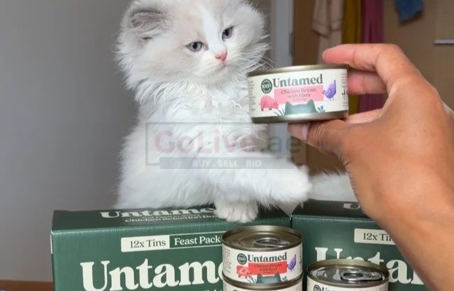 PearlDolls Ragdolls Kittens